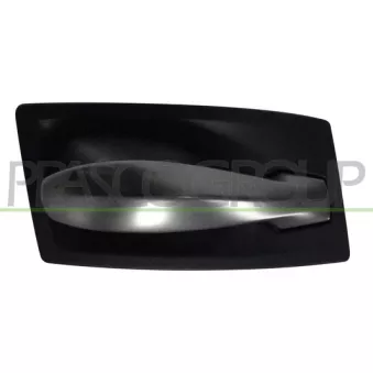 Poignet de porte, équipment intérieur avant droit PRASCO BM0468407