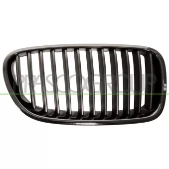 Grille de radiateur PRASCO BM0482003