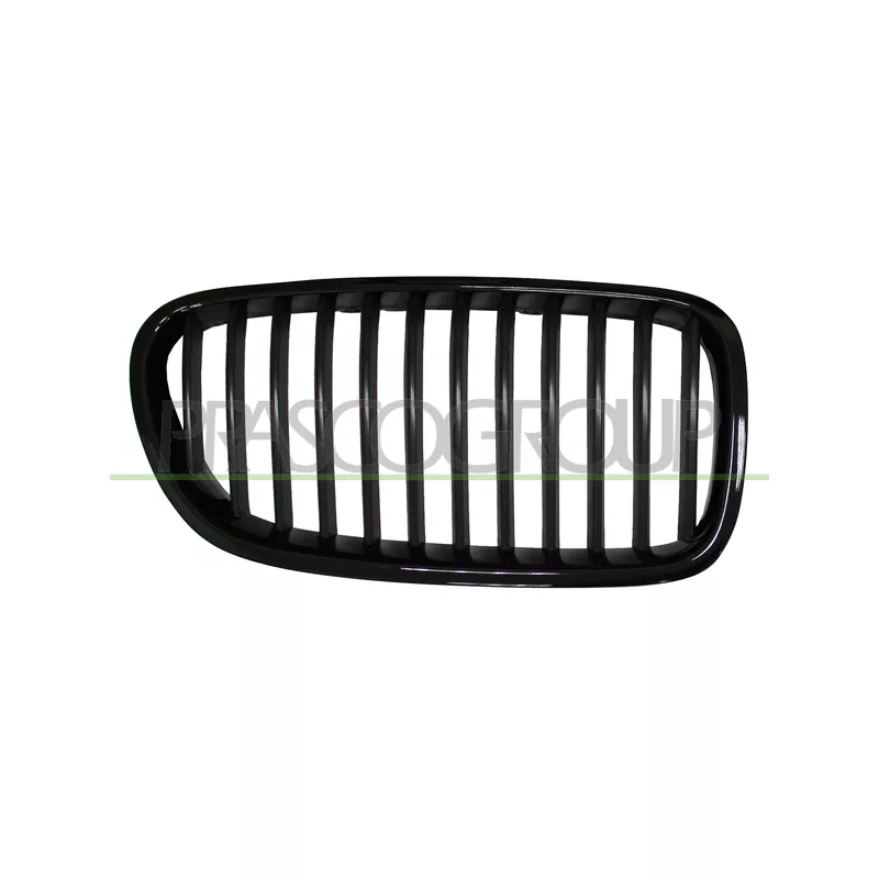 Grille de radiateur PRASCO BM0482004