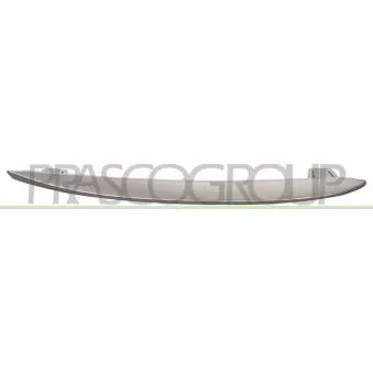 Baguette et bande protectrice, grille de radiateur PRASCO BM0482127