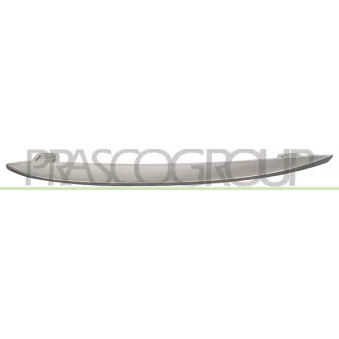 Baguette et bande protectrice, grille de radiateur PRASCO BM0482128