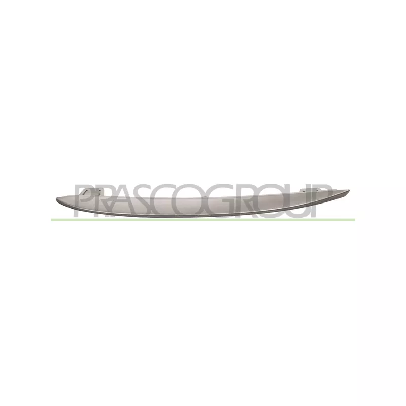 Baguette et bande protectrice, grille de radiateur PRASCO BM0482128