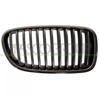 Grille de radiateur PRASCO BM0492003