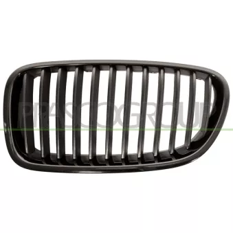 Grille de radiateur PRASCO BM0492004