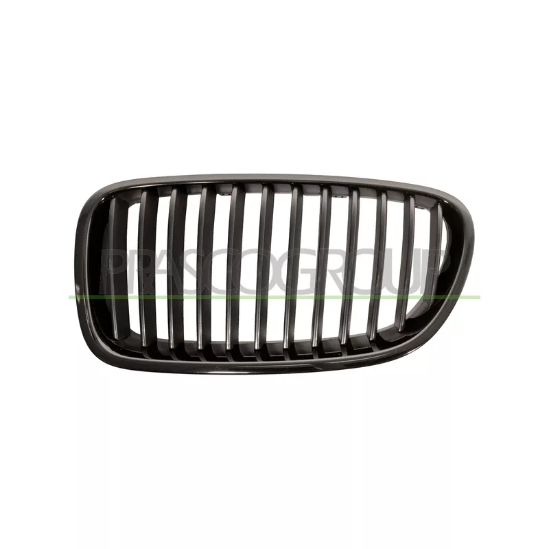 Grille de radiateur PRASCO BM0492004