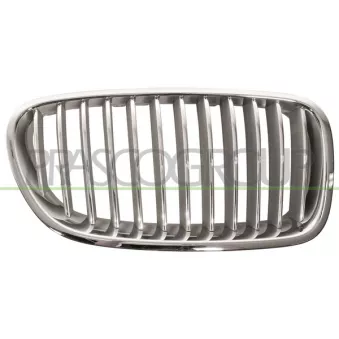 Grille de radiateur PRASCO BM0492013