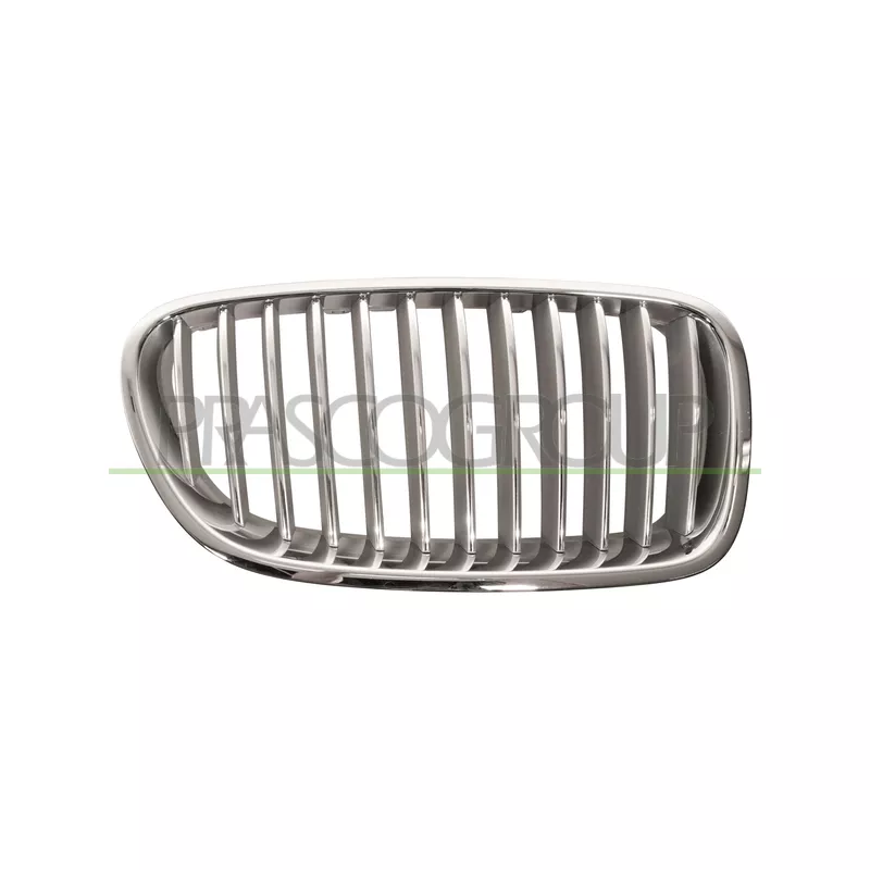 Grille de radiateur PRASCO BM0492013
