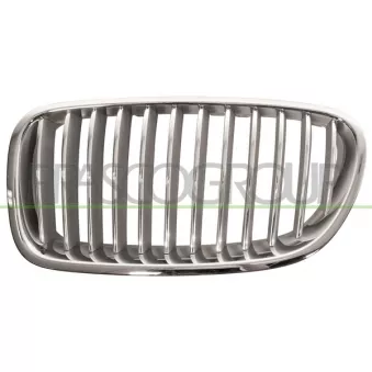 Grille de radiateur PRASCO BM0492014