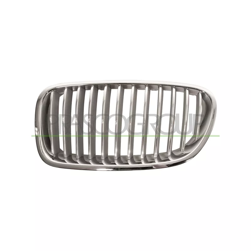 Grille de radiateur PRASCO BM0492014