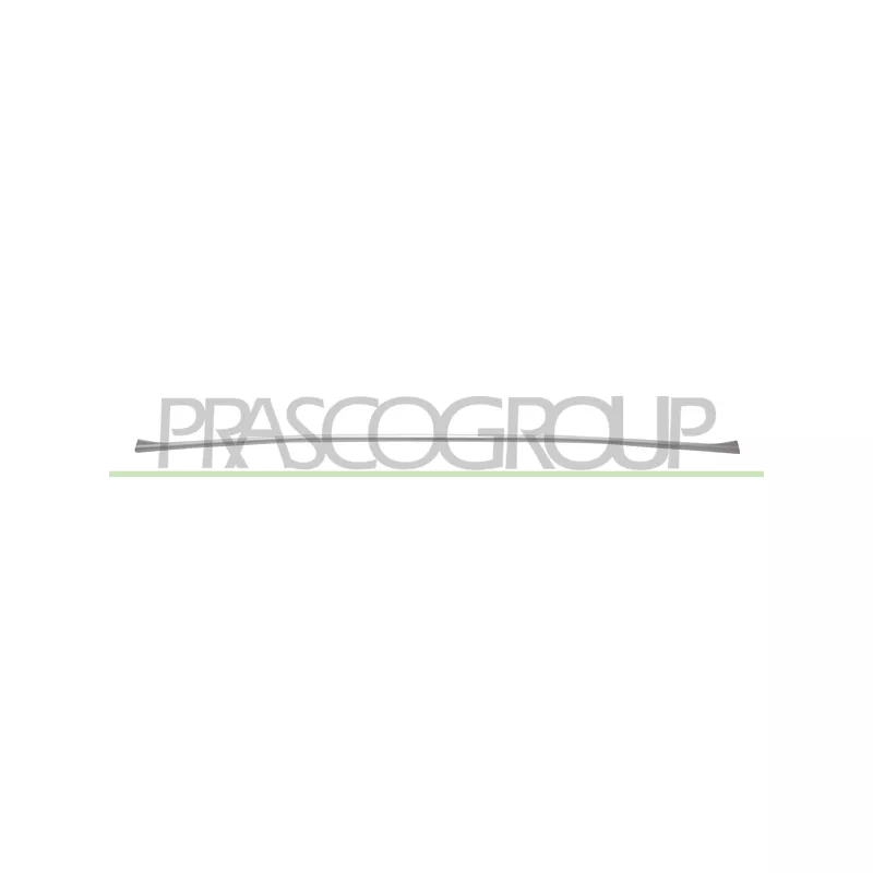 Baguette et bande protectrice, pare-chocs PRASCO BM0501255