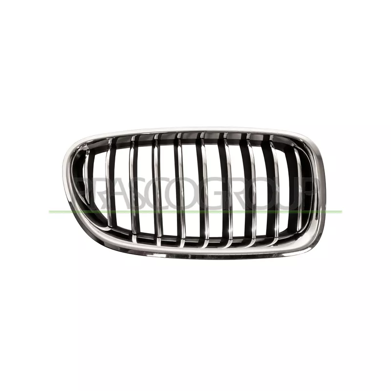 Grille de radiateur PRASCO BM0502003