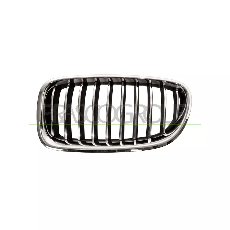 Grille de radiateur PRASCO BM0502004