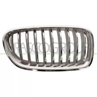 Grille de radiateur PRASCO BM0502013