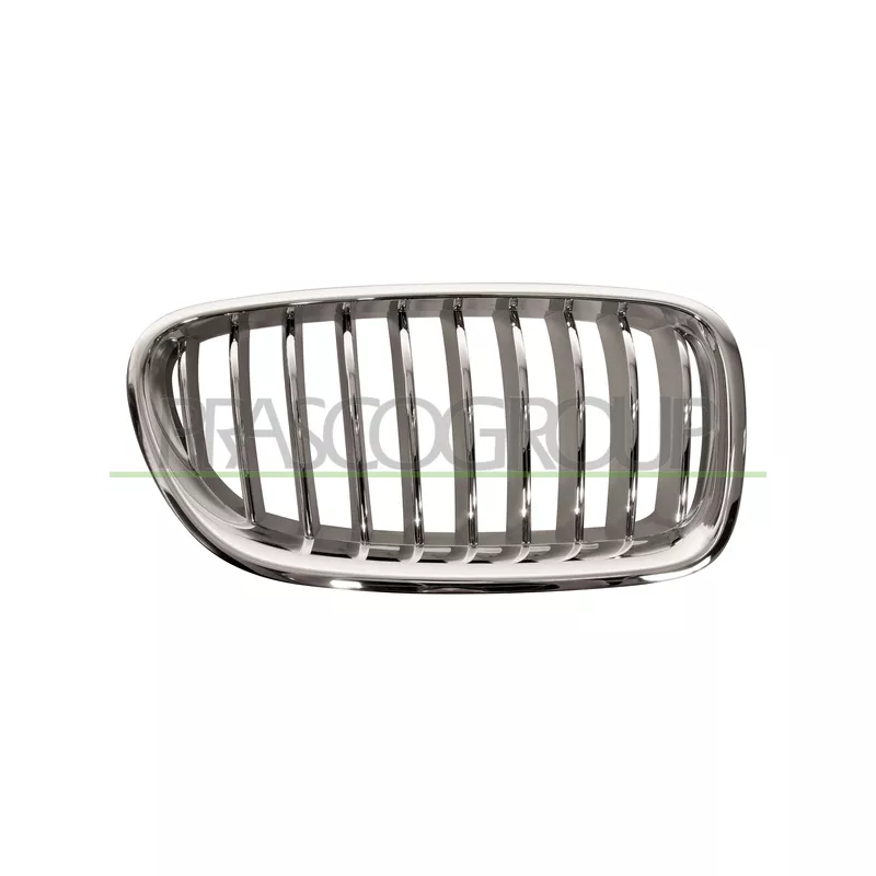 Grille de radiateur PRASCO BM0502013
