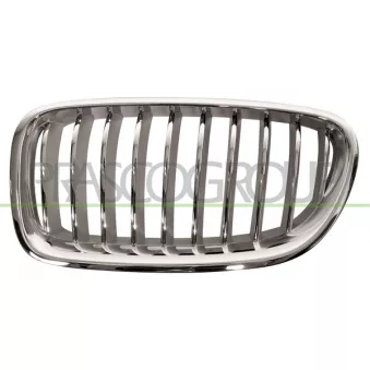 Grille de radiateur PRASCO BM0502014
