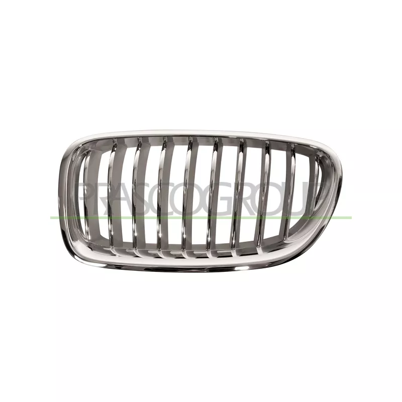 Grille de radiateur PRASCO BM0502014
