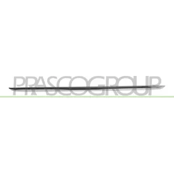 Baguette et bande protectrice, pare-chocs PRASCO BM0521255