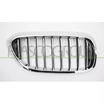 Grille de radiateur avant droit PRASCO BM0522013