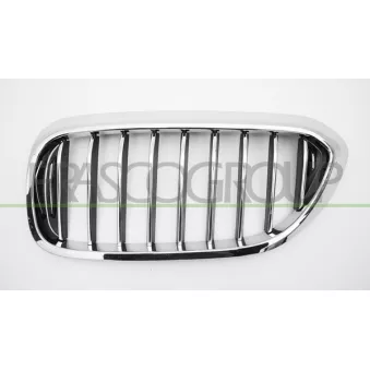 Grille de radiateur avant gauche PRASCO BM0522014