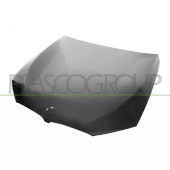 Capot-moteur PRASCO BM0523100