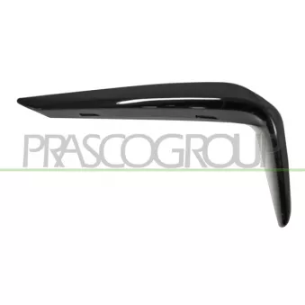 Baguette et bande protectrice, pare-chocs avant gauche PRASCO BM0531224