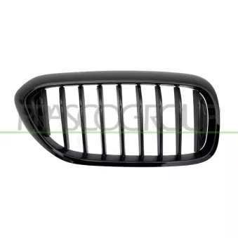 Grille de radiateur PRASCO BM0532003