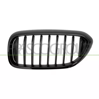 Grille de radiateur PRASCO BM0532004