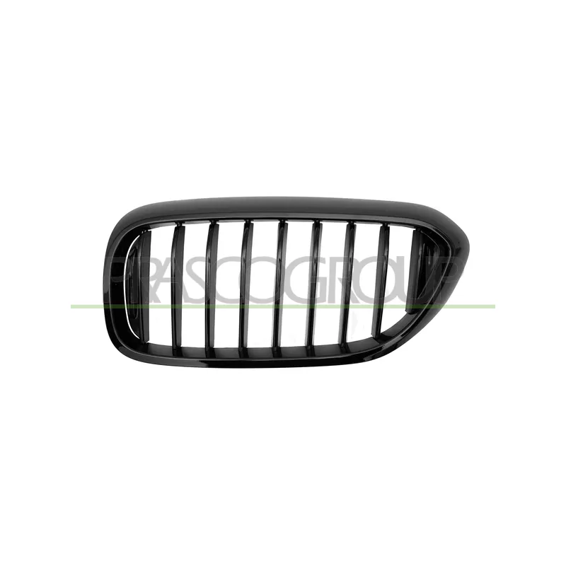 Grille de radiateur PRASCO BM0532004
