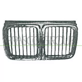 Grille de radiateur PRASCO BM0952001
