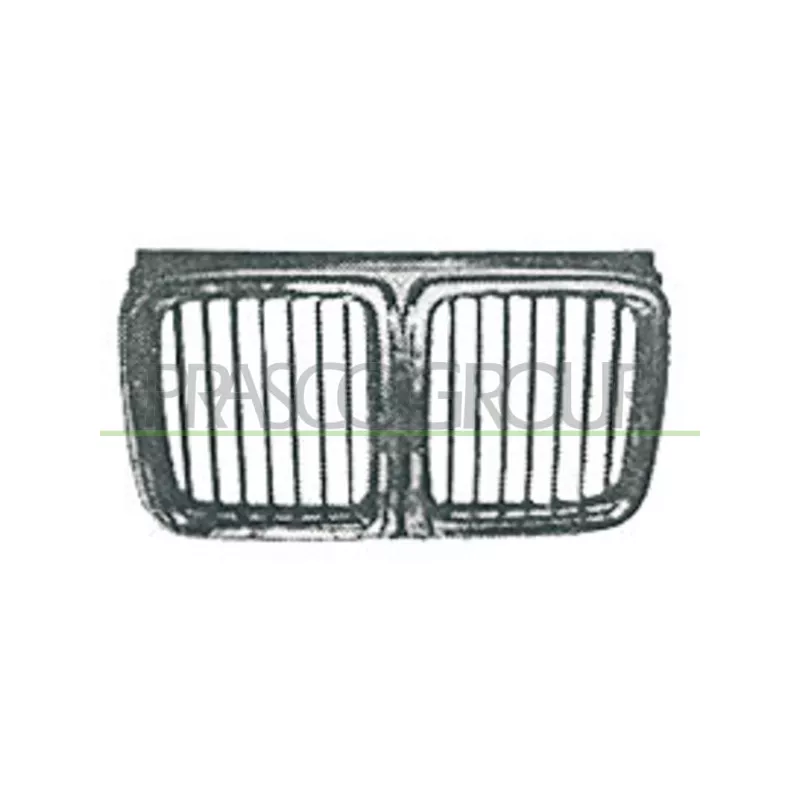 Grille de radiateur PRASCO BM0952001