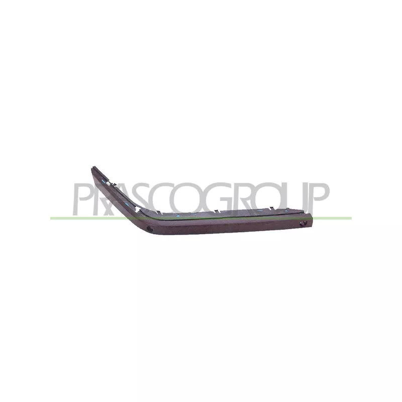 Baguette et bande protectrice, pare-chocs avant droit PRASCO BM0971233
