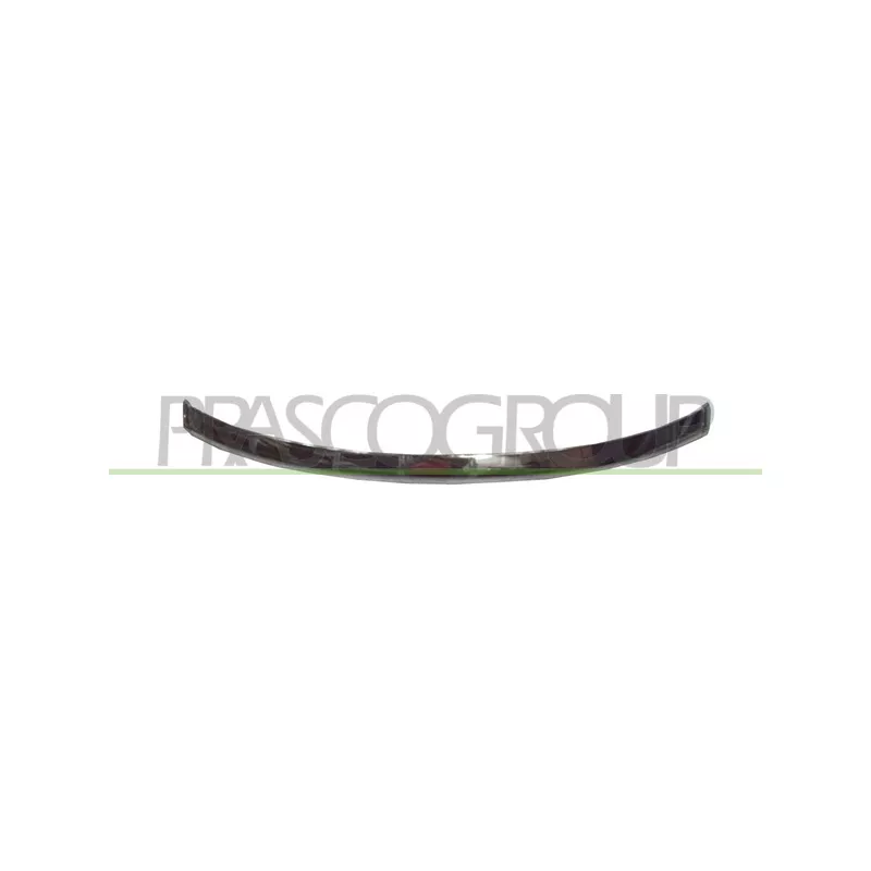 Baguette et bande protectrice, pare-chocs PRASCO BM0971265
