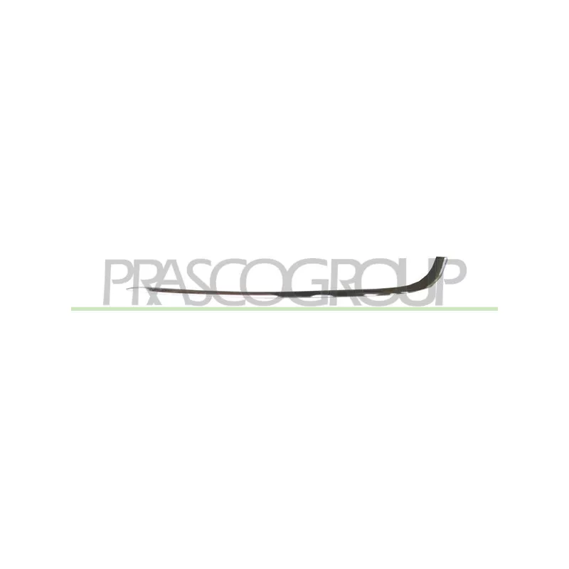 Baguette et bande protectrice, pare-chocs arrière gauche PRASCO BM0971268