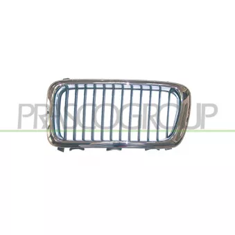 Grille de radiateur avant droit PRASCO
