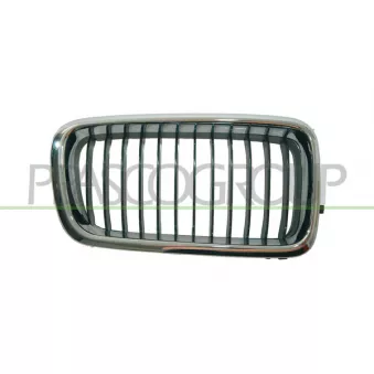 Grille de radiateur PRASCO BM0982003