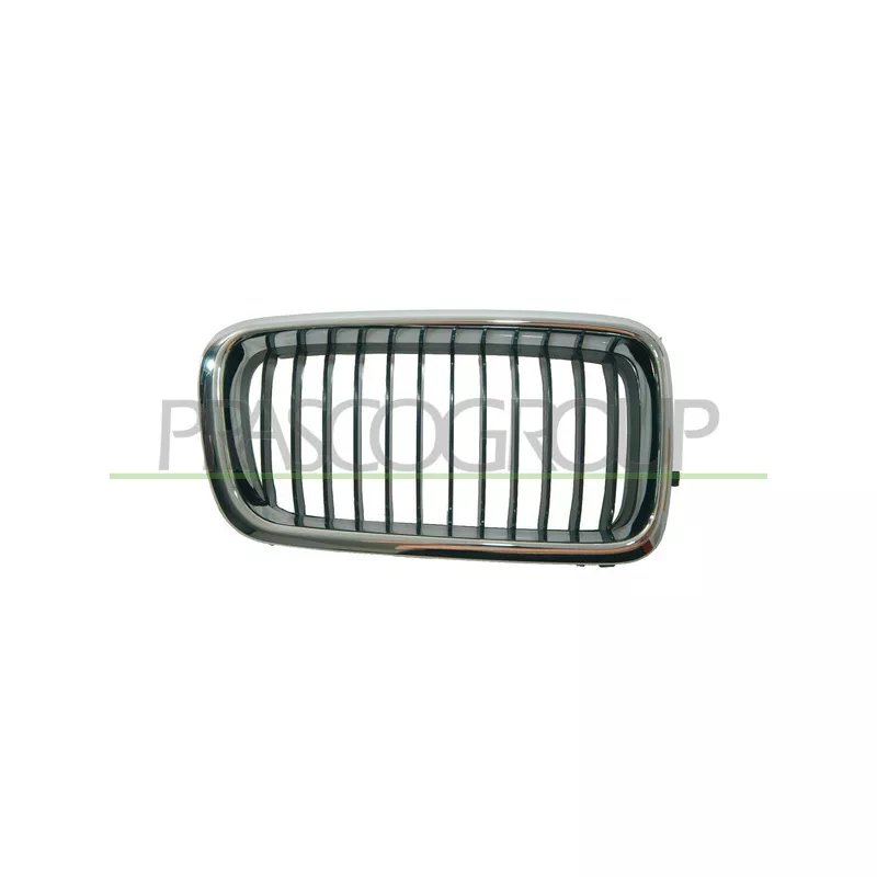 Grille de radiateur PRASCO BM0982003