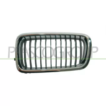 Grille de radiateur PRASCO BM0982004