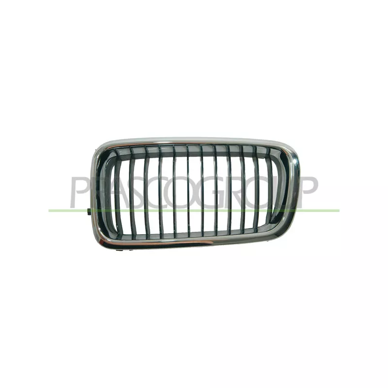 Grille de radiateur PRASCO BM0982004