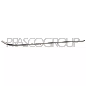 Baguette et bande protectrice, pare-chocs arrière droit PRASCO BM0991257