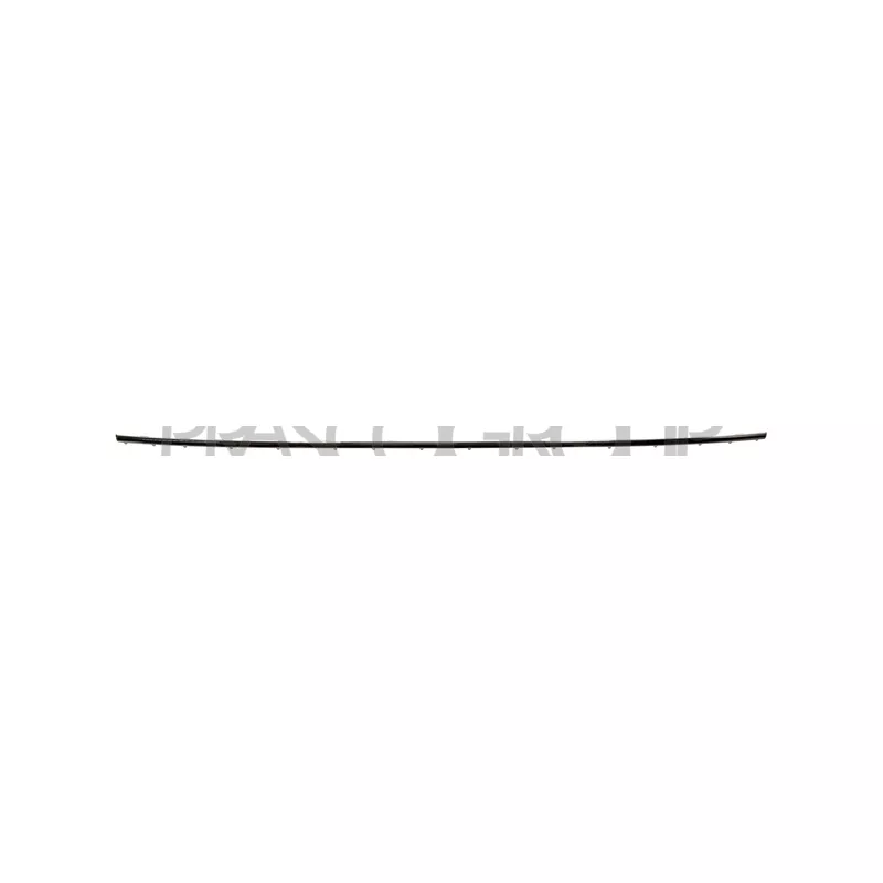 Baguette et bande protectrice, pare-chocs PRASCO BM0991259