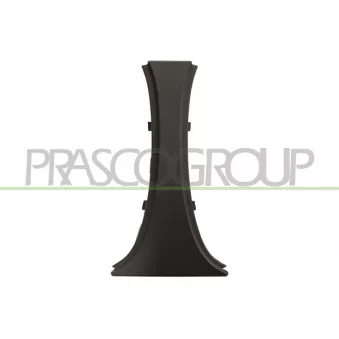 Grille de radiateur PRASCO BM0992002