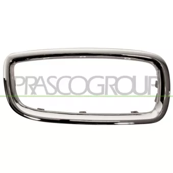Cadre, grille de radiateur PRASCO BM0992333