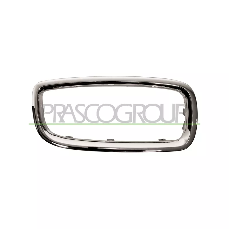 Cadre, grille de radiateur PRASCO BM0992333