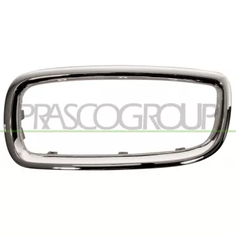 Cadre, grille de radiateur PRASCO BM0992334