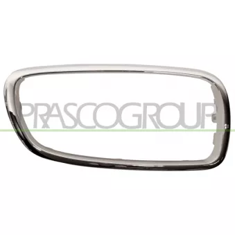 Cadre, grille de radiateur PRASCO BM1002103