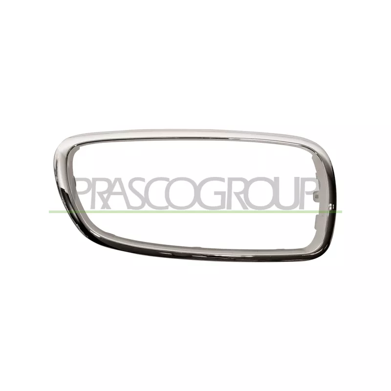 Cadre, grille de radiateur PRASCO BM1002103