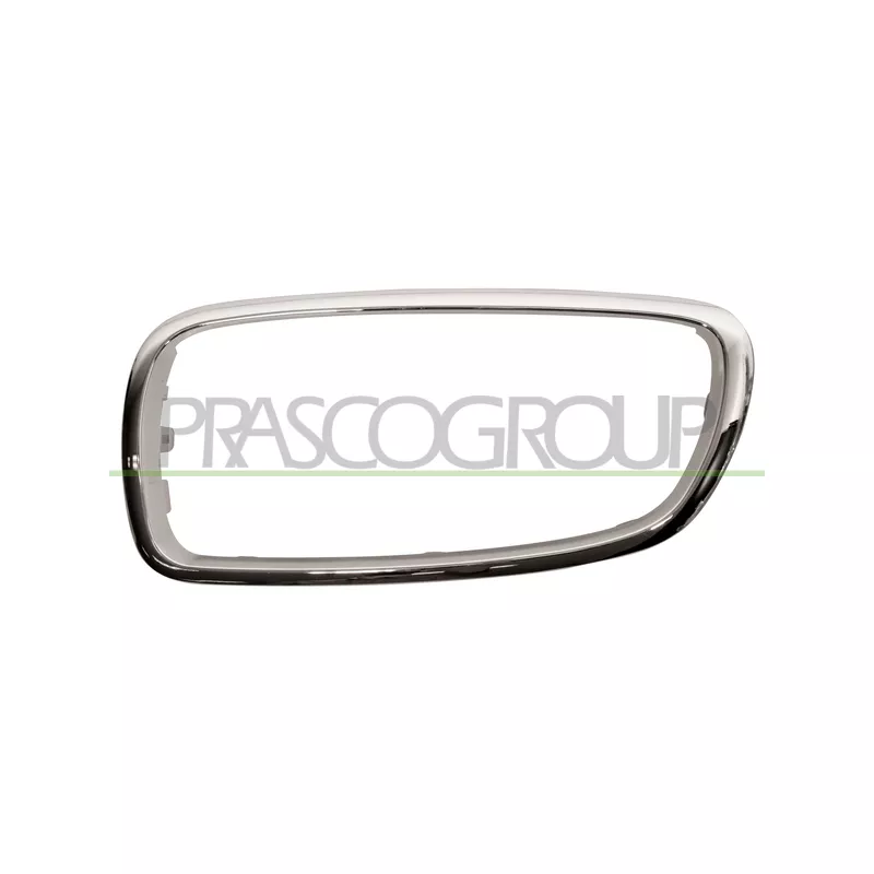 Cadre, grille de radiateur PRASCO BM1002104