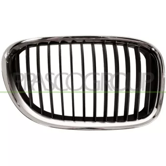 Grille de radiateur PRASCO BM1012003