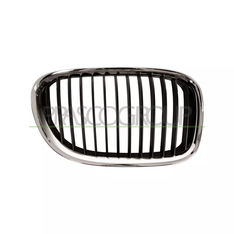 Grille de radiateur PRASCO BM1012003