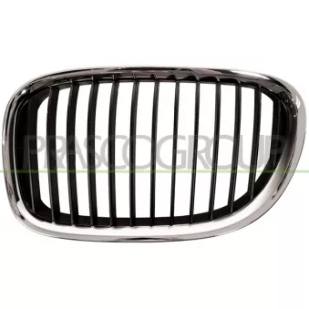 Grille de radiateur PRASCO BM1012004